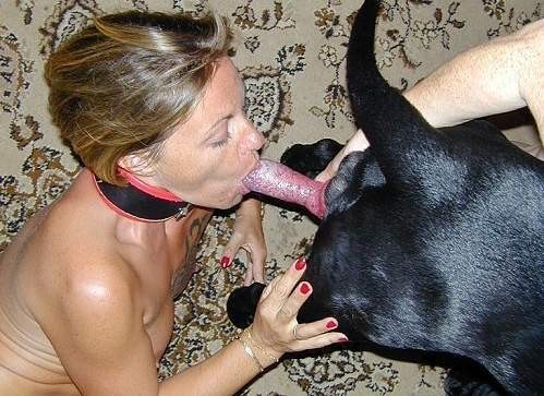 beastiality taboo videos: dog licking cookie full length porn videos: Free  XXX | PervertSlut / Only Real Amateurs on PervertSlut.com