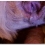 052 – BEAST ANIMAL CREAMPIE